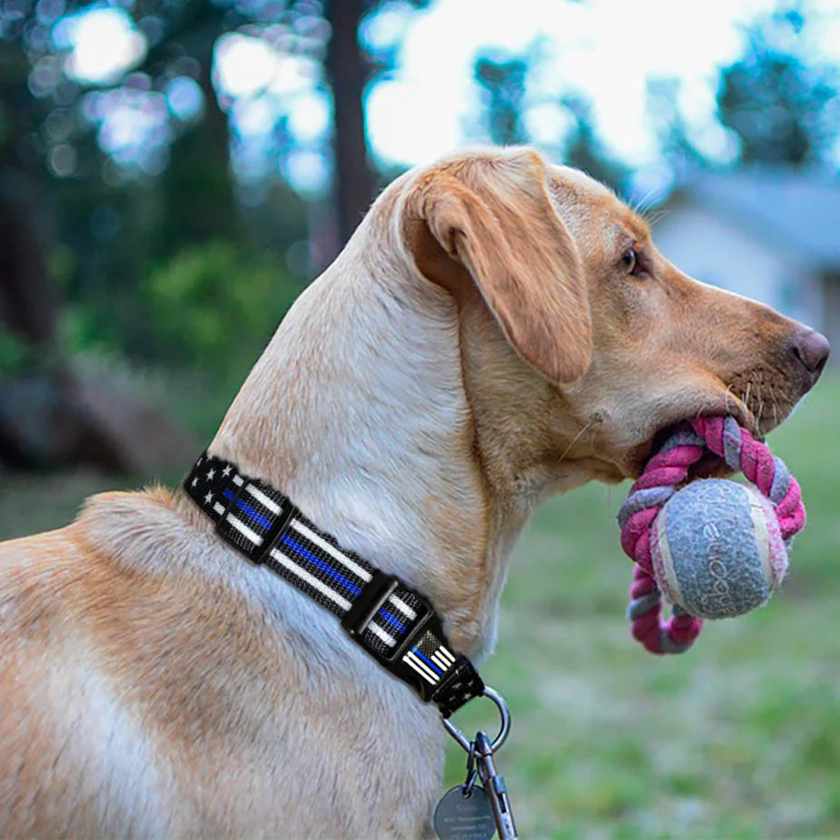 Dog Collar - Stars and Stripes Thin Blue Line - Image 3